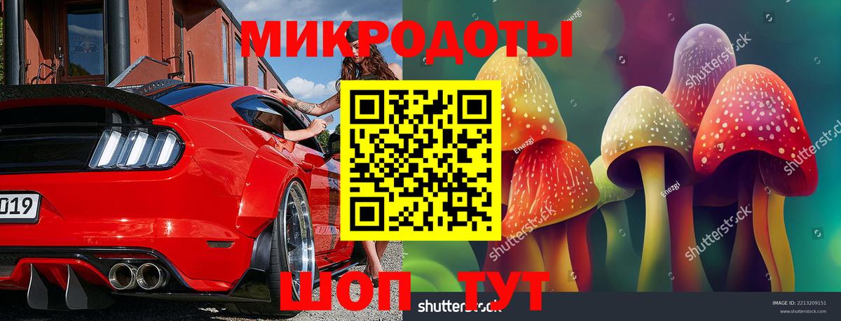 Псилоцибиновые грибы GOLDEN TEACHER Зима