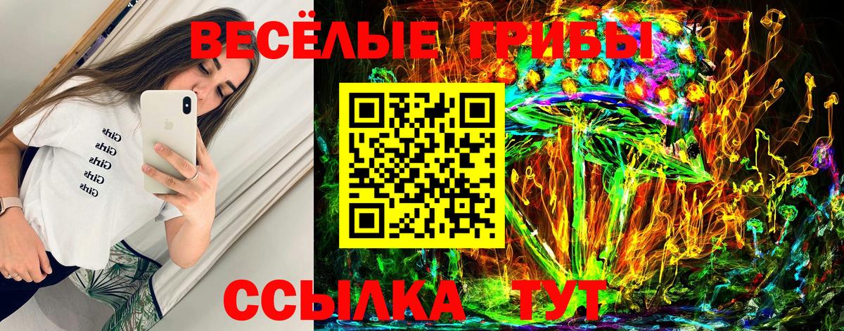 Псилоцибиновые грибы Psilocybine cubensis  Вход с VPN  Зима 