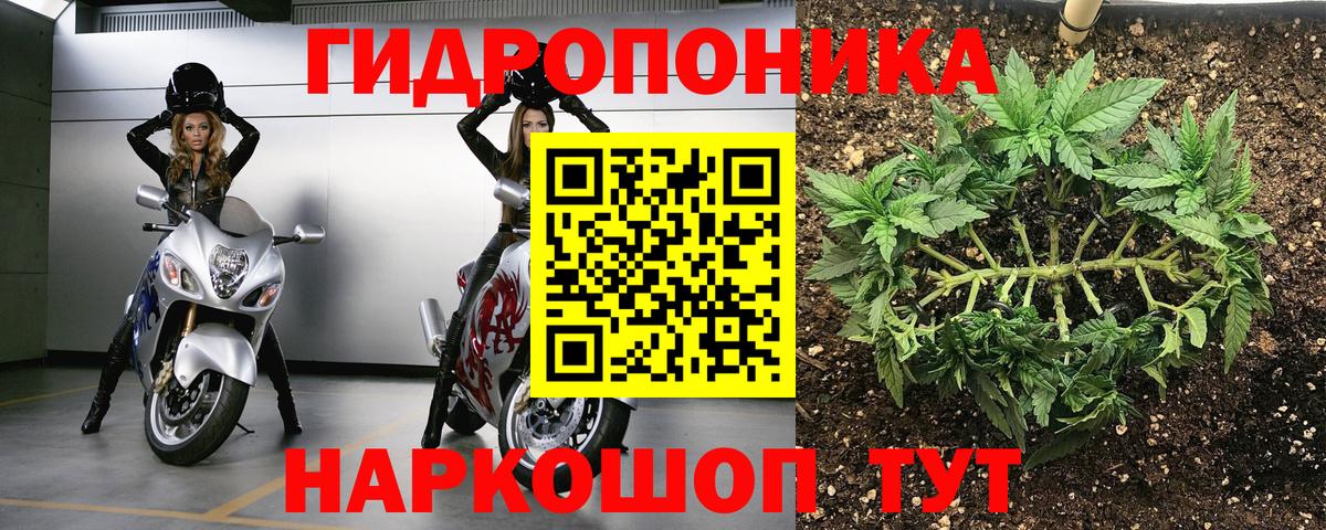 МАРИХУАНА сатива  Бошки марихуана семена  Зима  Конопля индика  Вход с VPN 